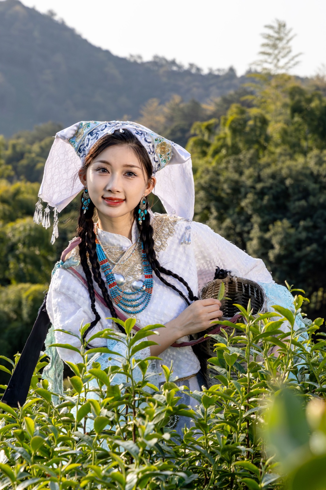 茶园里的采茶人